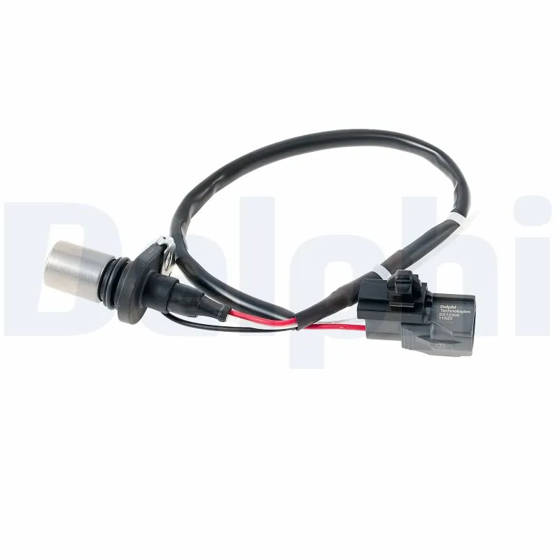 SS1230612B1 Delphi