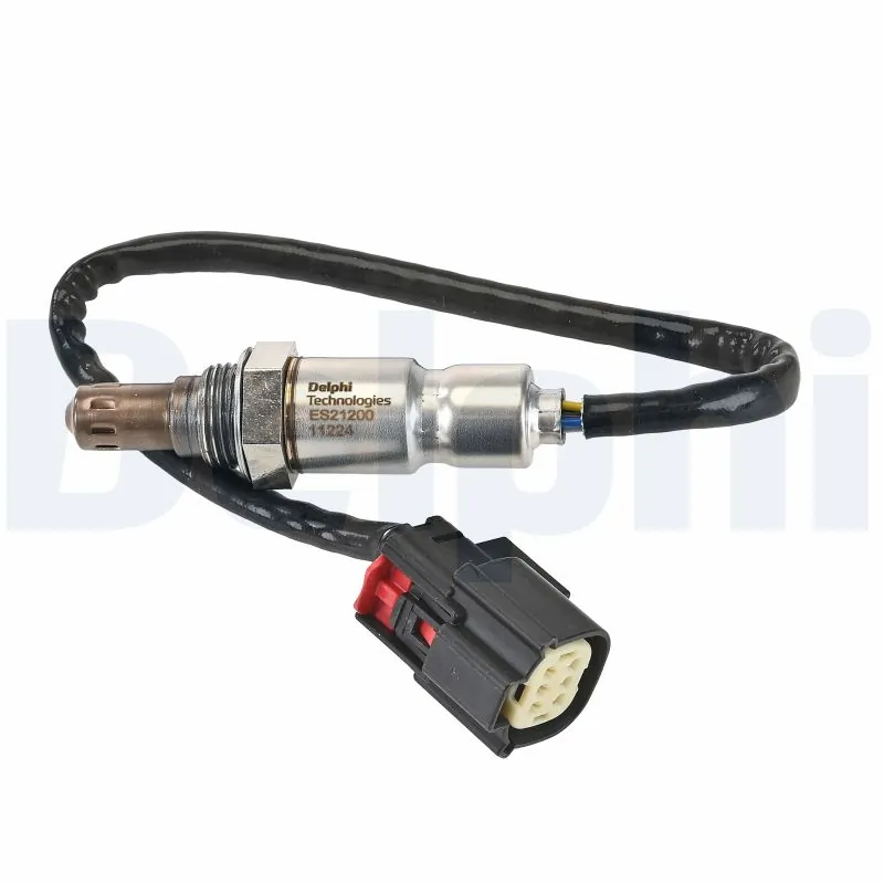 ES2120012B1 Delphi