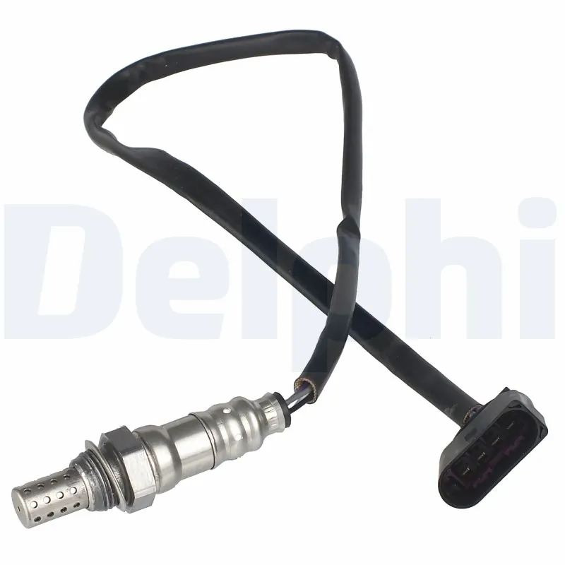 ES2027012B1 Delphi
