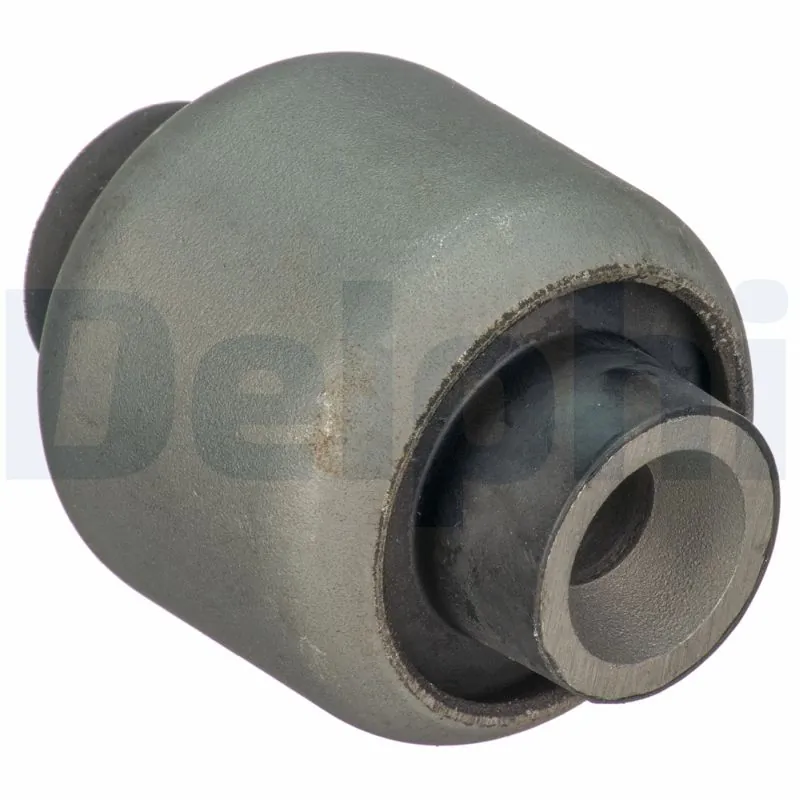 TD1701W Delphi