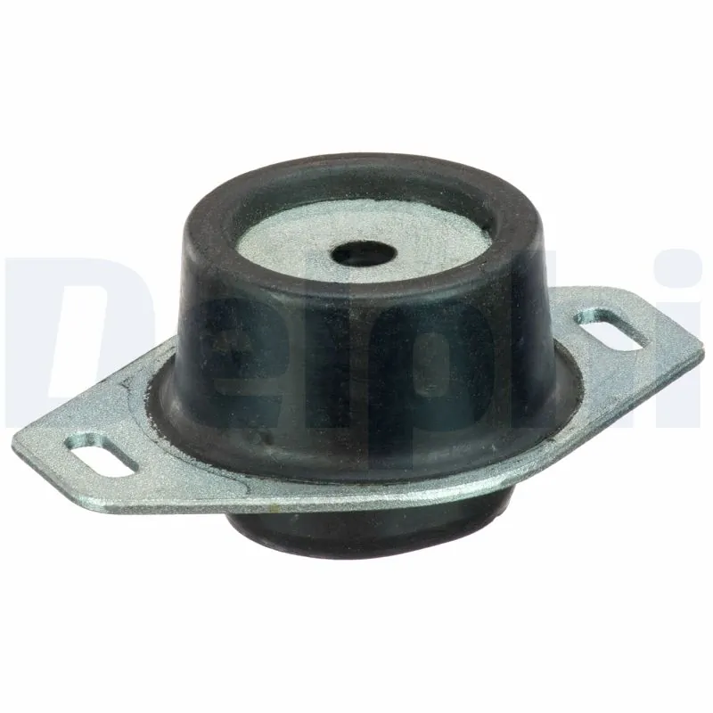 TEM065 Delphi