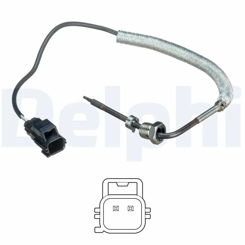 TS30108 Delphi