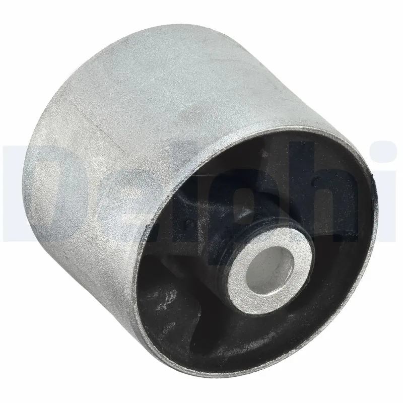 TD1118W Delphi