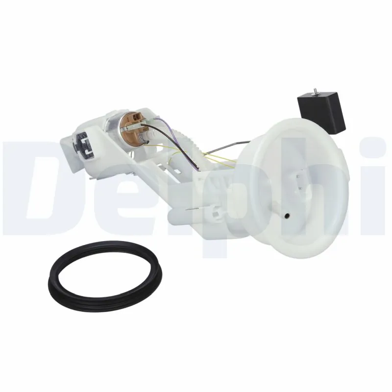FG123011B1 Delphi