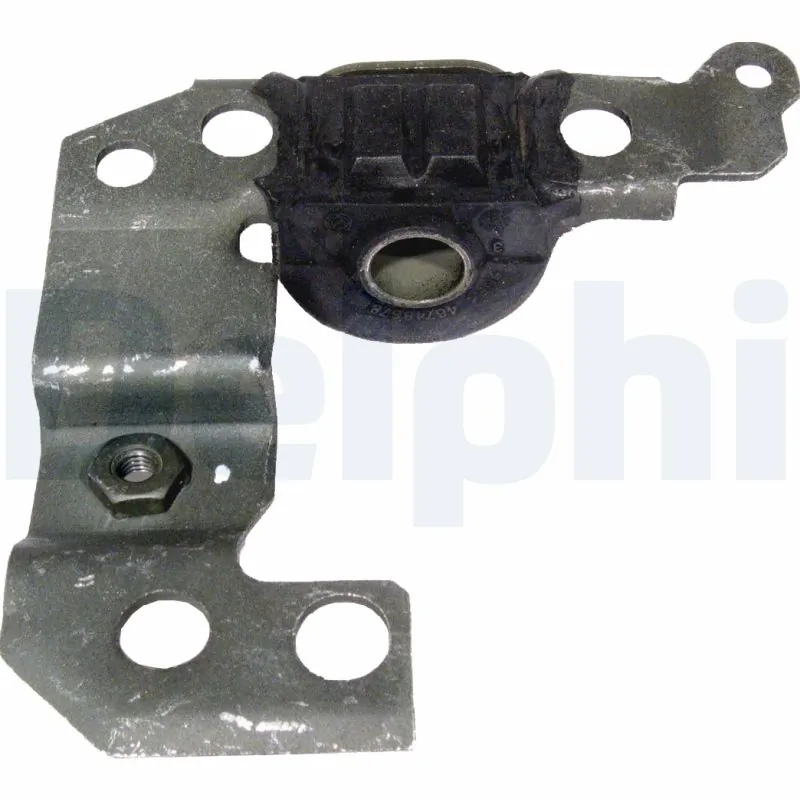 TD433W Delphi