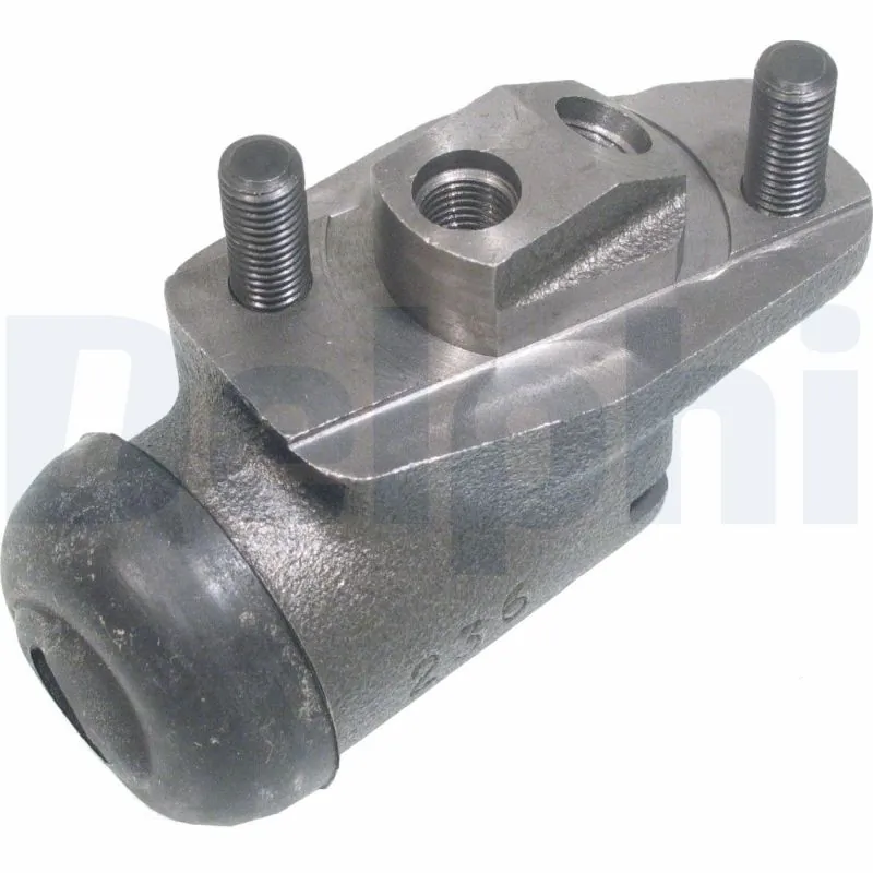 LW30361 Delphi