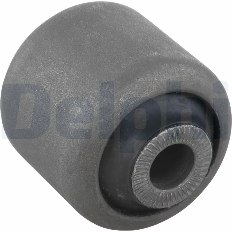 TD483W Delphi