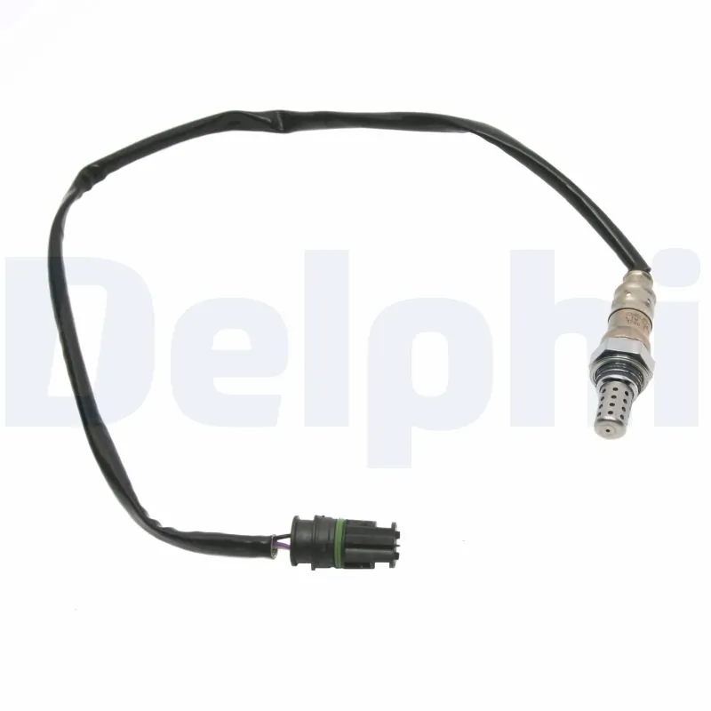 ES2036812B1 Delphi