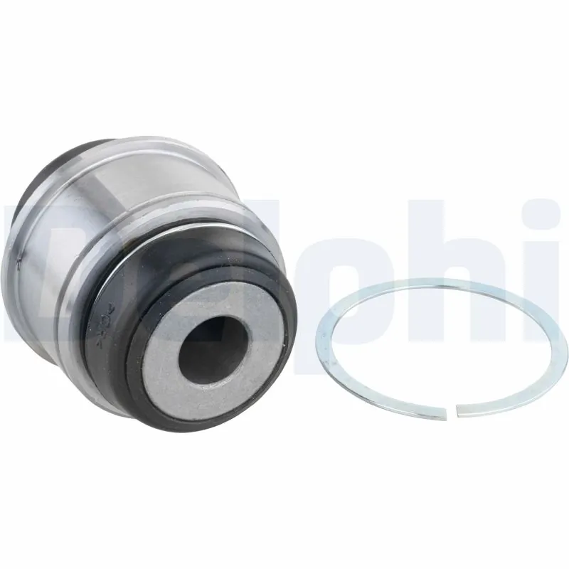 TD1166W Delphi