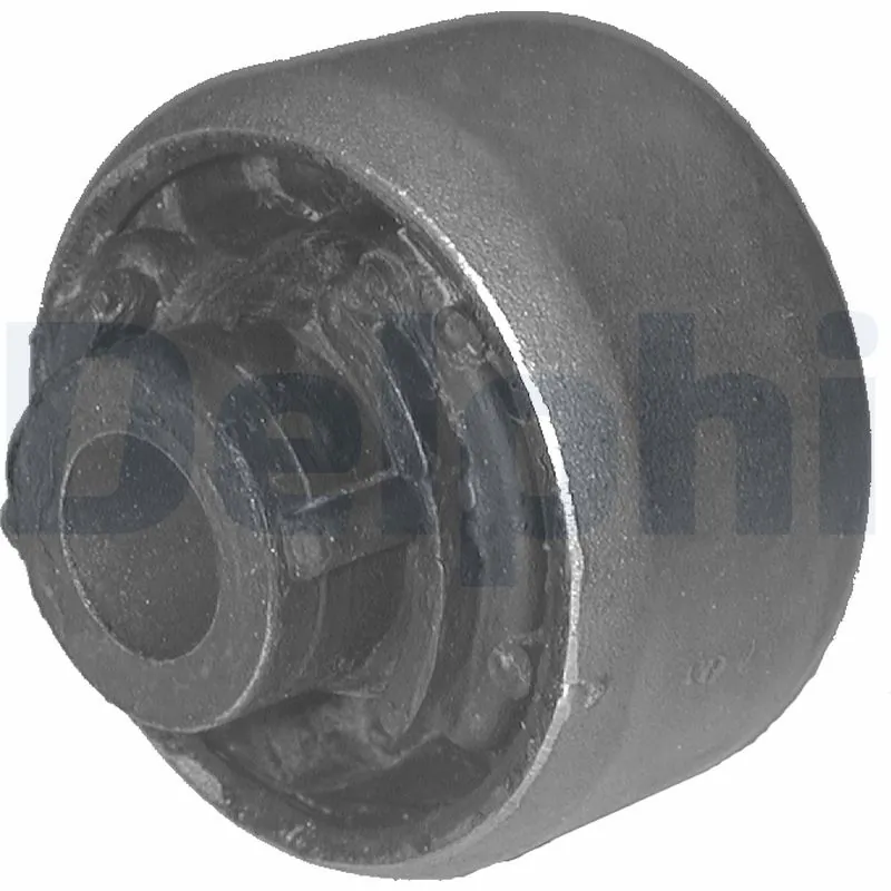 TD261W Delphi