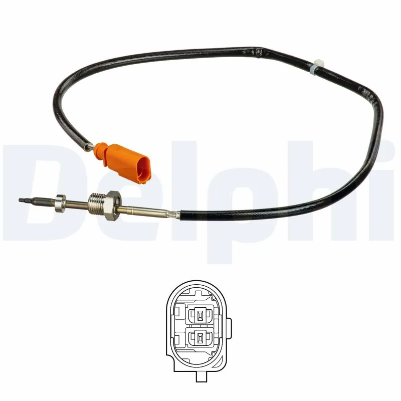 TS30164 Delphi