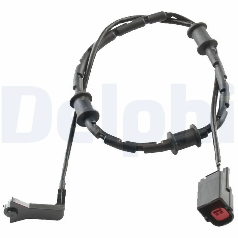 LZ0251 Delphi