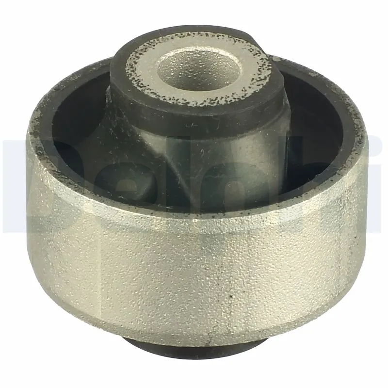TD1113W Delphi