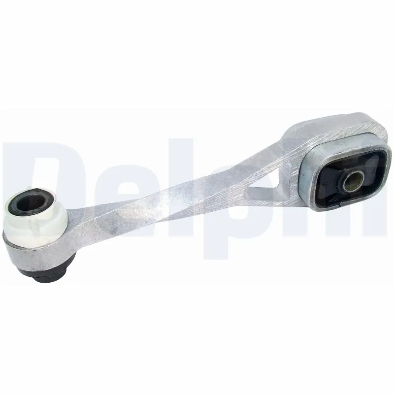 TEM011 Delphi