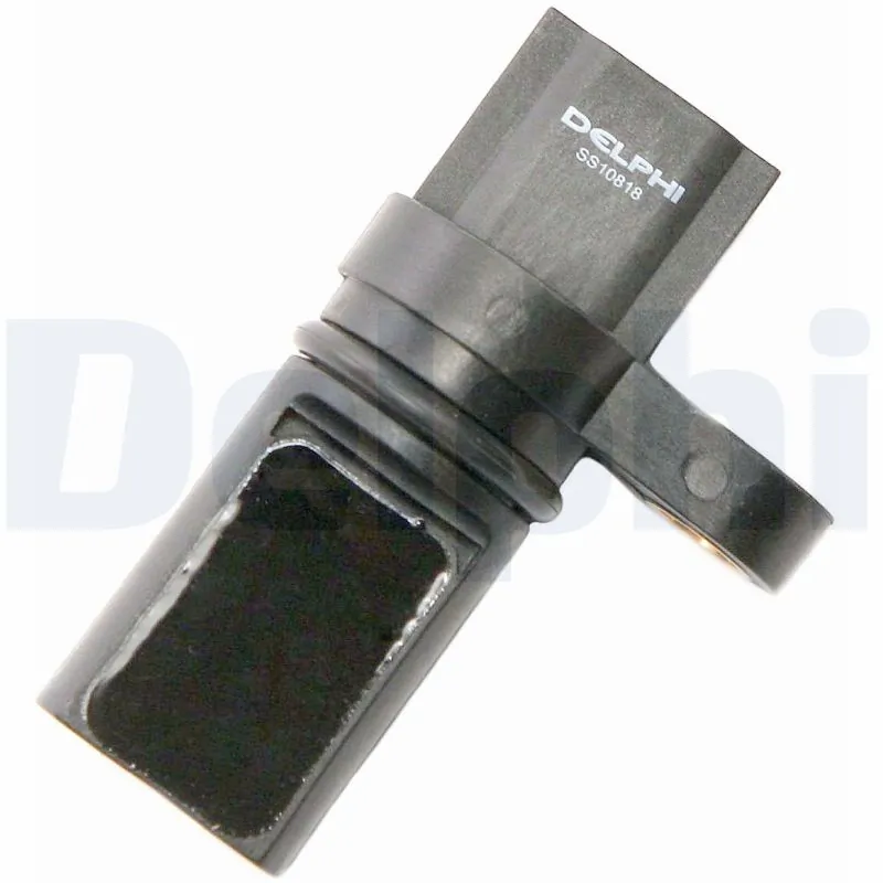 SS10818 Delphi