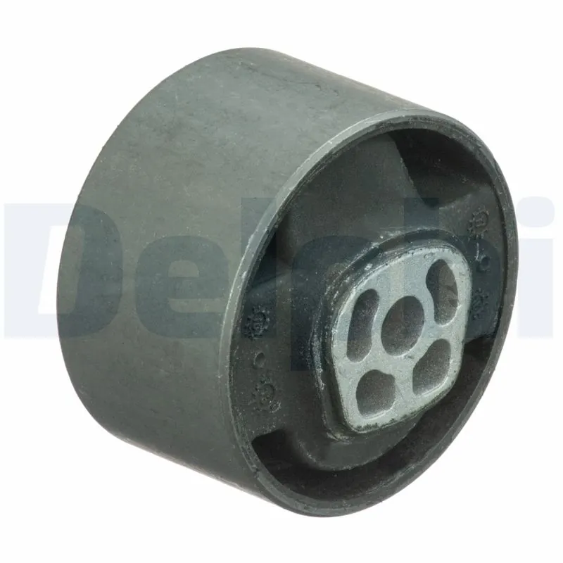 TEM089 Delphi