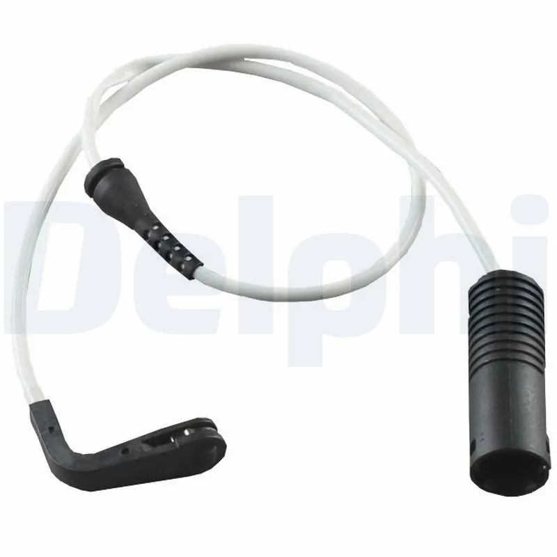 LZ0137 Delphi