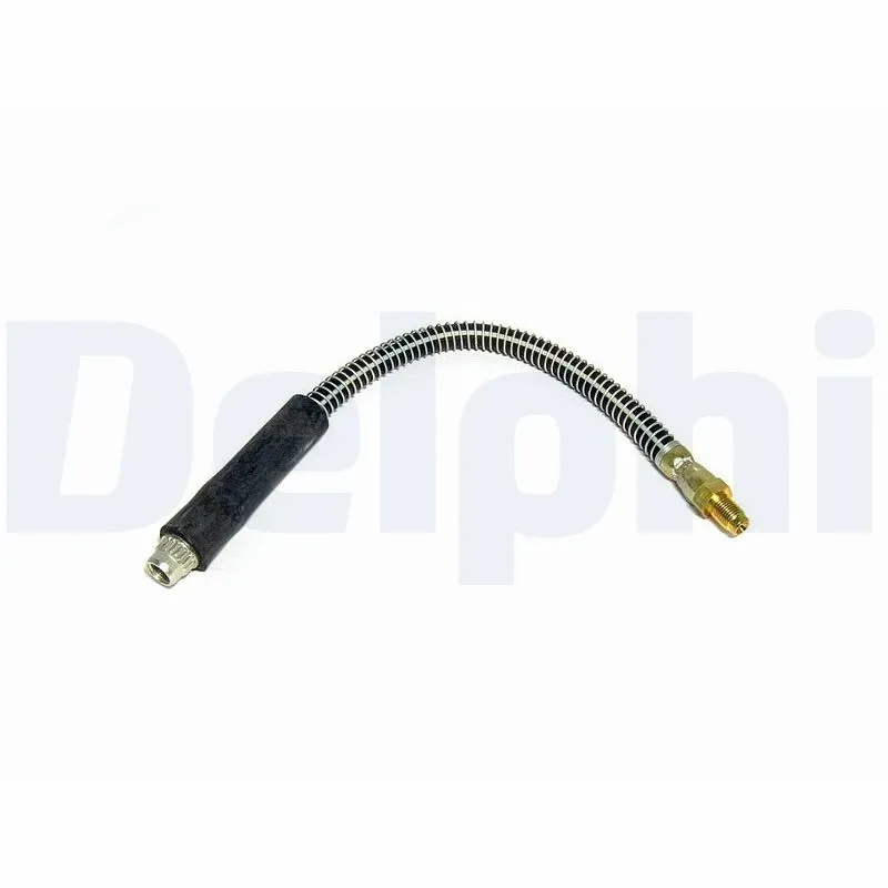 LH0350 Delphi