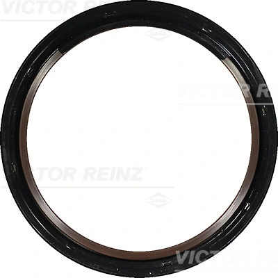 813385900 Victor Reinz