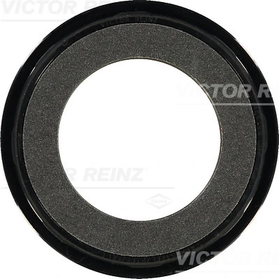813406200 Victor Reinz