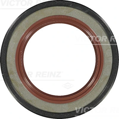 813186300 Victor Reinz