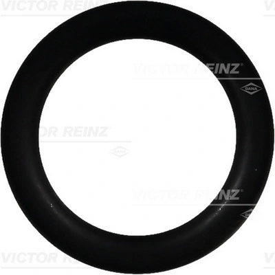 407639100 Victor Reinz