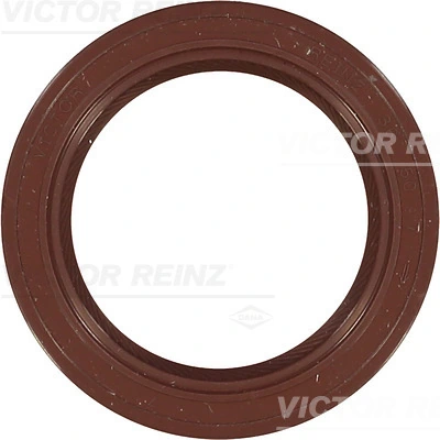 813440300 Victor Reinz