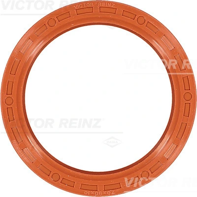 811528740 Victor Reinz