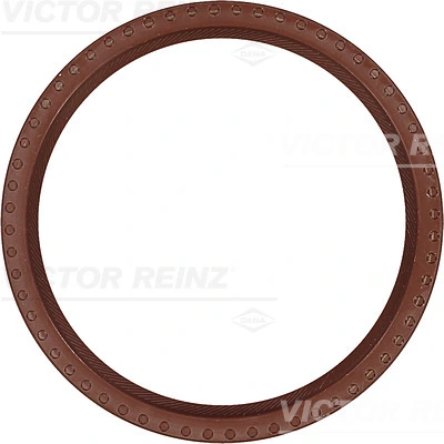 813431800 Victor Reinz