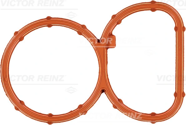 713937800 Victor Reinz
