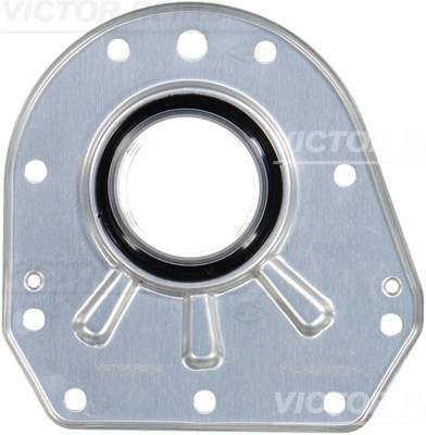 811064900 Victor Reinz