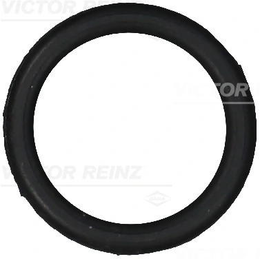 711098300 Victor Reinz