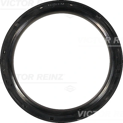 813555300 Victor Reinz