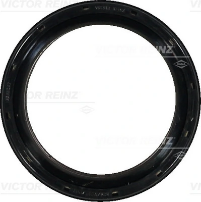 813853100 Victor Reinz