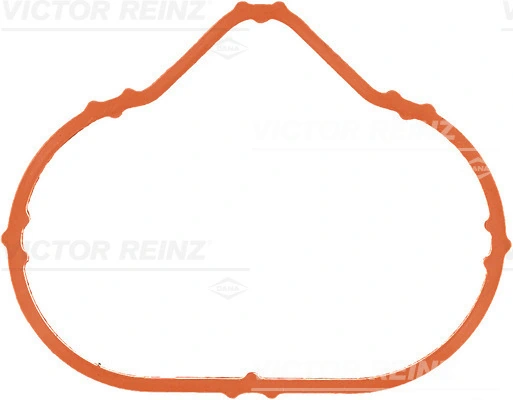 713854900 Victor Reinz