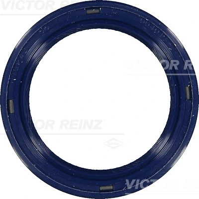 815345400 Victor Reinz