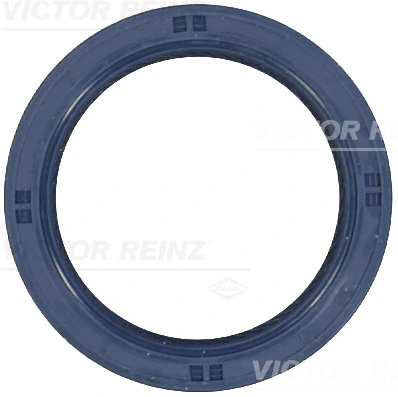 815350800 Victor Reinz