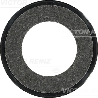 813523900 Victor Reinz