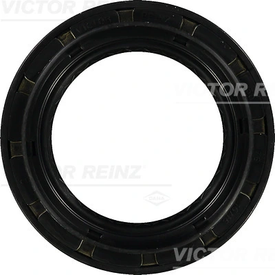 812940800 Victor Reinz