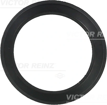 713606100 Victor Reinz