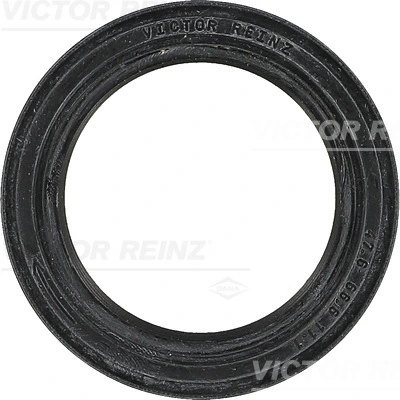 813348900 Victor Reinz