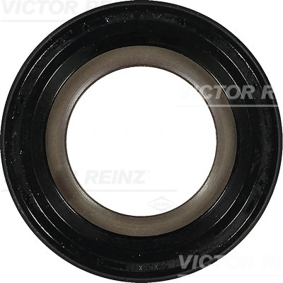 811036900 Victor Reinz