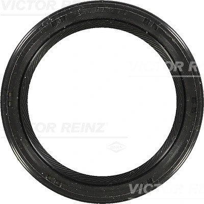 815327300 Victor Reinz
