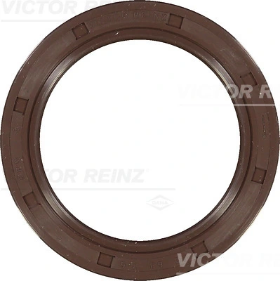 813623100 Victor Reinz
