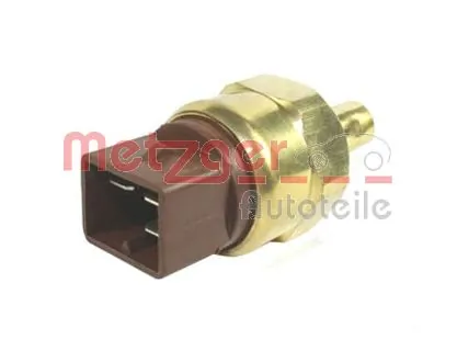 0905038 Metzger