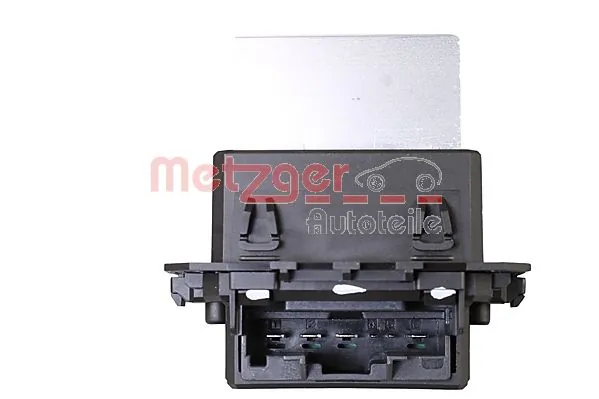 0917396 Metzger