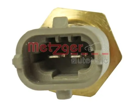 0905006 Metzger