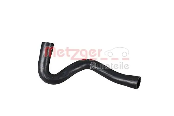 2420955 Metzger