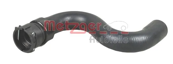 2420110 Metzger