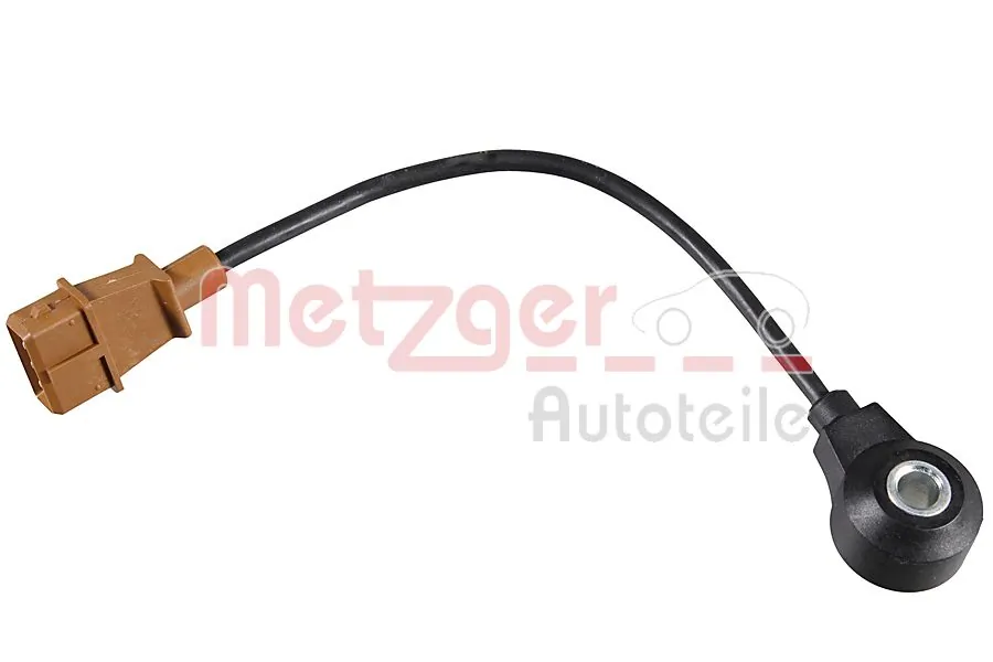 0907050 Metzger